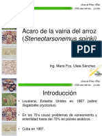 acaro_de_la_vaina_del_arroz.pdf