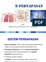 Sistem Pernapasan