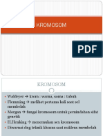 Kromosom DAN DNA