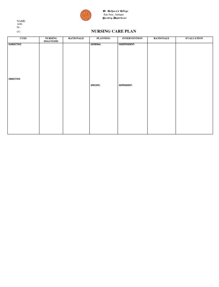 Nursing Care Plan Template | PDF