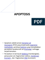 1 Apoptosis