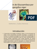 Producción de Glucoamilasa Por Aspergillus Niger