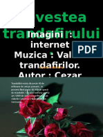 Povestea Trandafirului