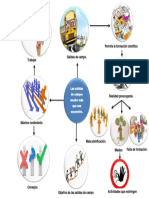 Mapa Mental - Salidas de Campo