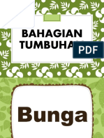 Bahagian tumbuhan