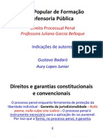 Curso Popular - Garantias Constitucionais e Convencionais