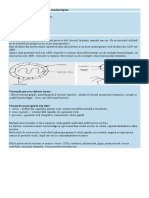 Eseuri Biologie Bac