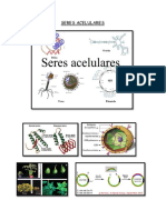 Biologia seres acelulares