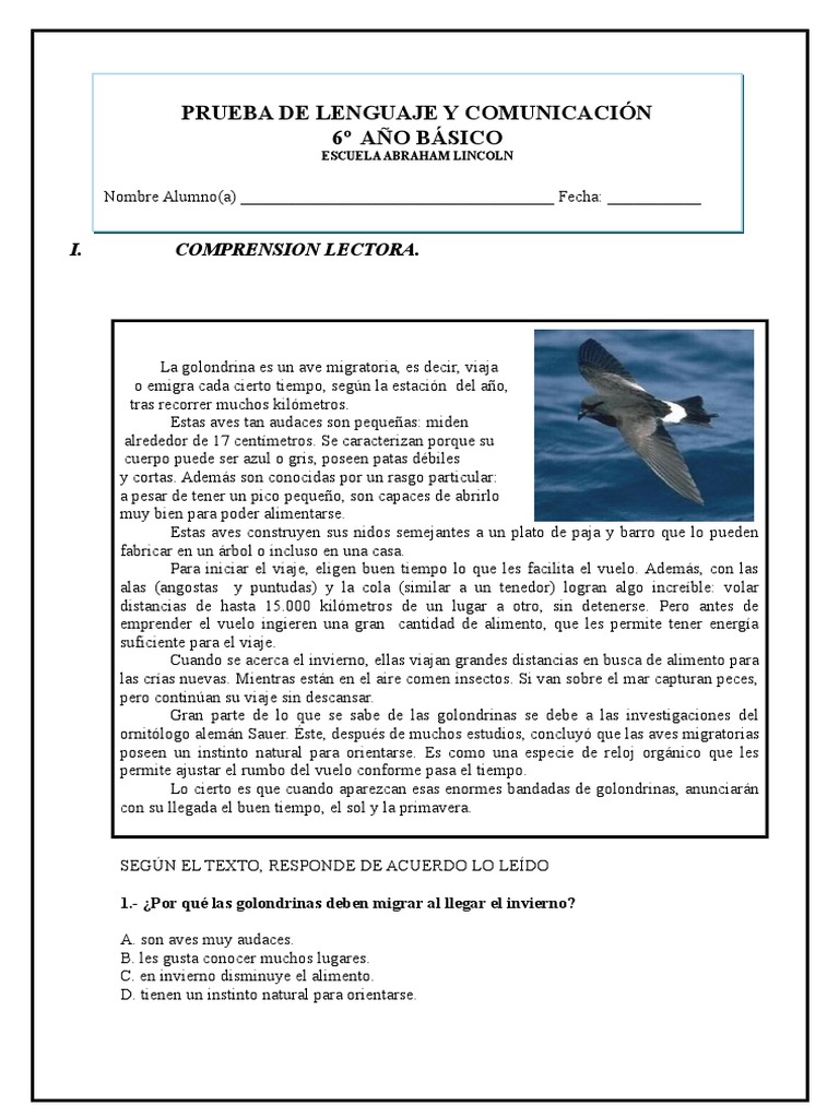 Golondrinas: Migración y Adaptación | PDF | Aves | Migración de aves
