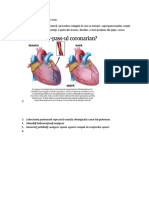 Termeni Medicali Din Anatomy Grey