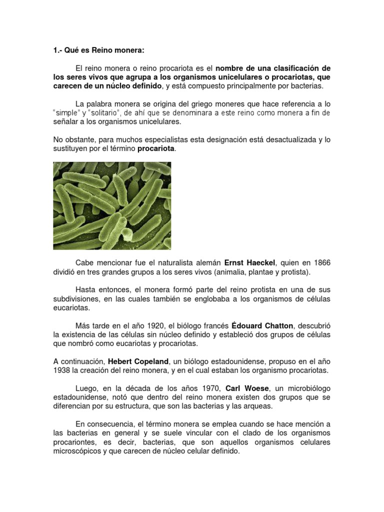 Reino Monera | PDF | Procariota | Cianobacterias