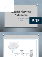 Sistema Nervioso Autonomo