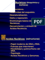 Ácidos Nucleicos