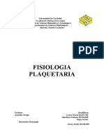 Ensayo Morfofisiologia