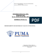 Informe semanal PUMA S.A.   Semana del 04 al 10 de Julio 2014 (1).docx