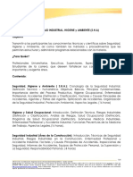 Programa Seguridad Higiene y Ambiente PDF