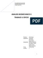 Análisis Biomecánico II Trabajo U Oficio (Final)