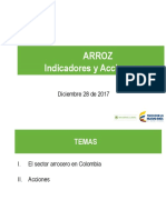 Arroz Indicadores y Acciones