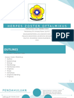 Herpes Zoster Oftalmikus