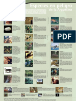 especies-en-peligro-poster.pdf