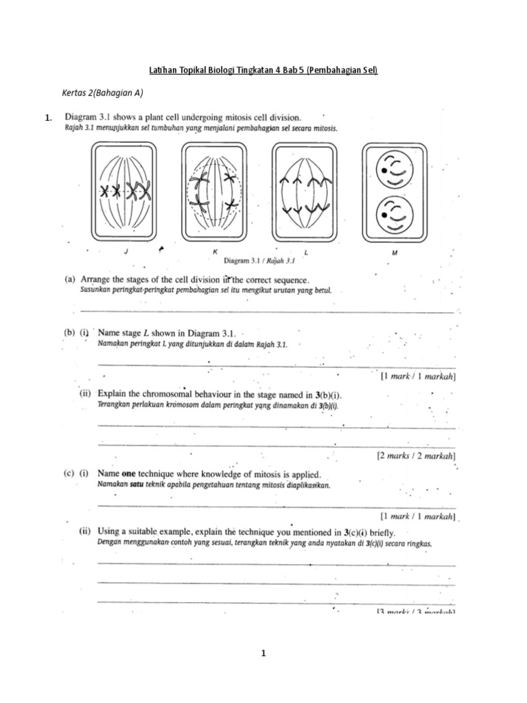 Nota Biologi Tingkatan 4 Bab 5  Nota Sains Tingkatan 4 Kssm 2020  Bab