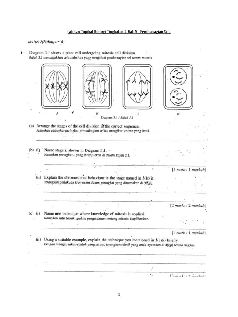 Latihan Topikal Biologi Tingkatan 4 Bab 5 Pdf