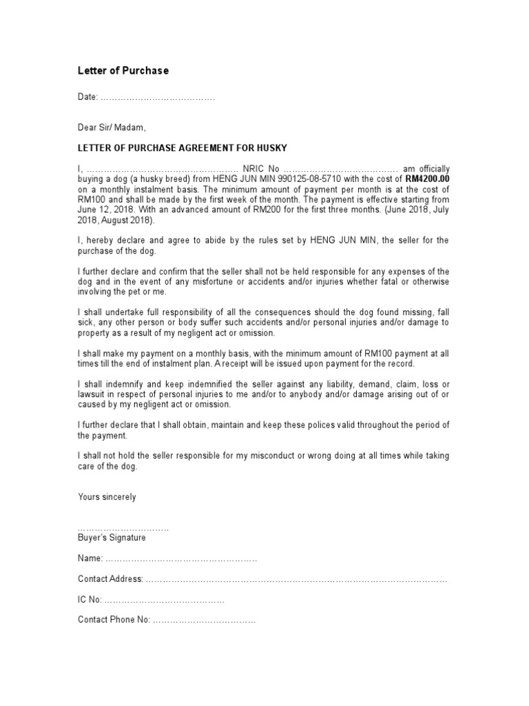 Appendix ALegal Document Student Format Letter of Indemnity For