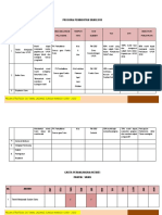 Program Peningktan