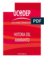 Historia Amaranto PDF