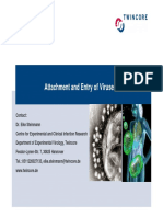 Attachment and Entry of Viruses