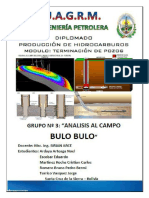 345482587-Proyecto-Campo-BULO-BULO.docx