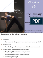 Physiology of The Urinary System-BSHB14