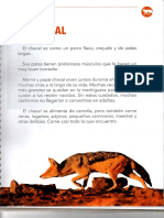 El Chacal PDF