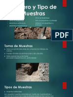 Numero y Tipos de Muestra