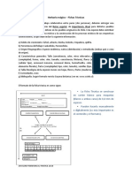 Herbario Místico PDF