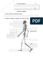 Fichas de Avaliacao estudo do meio 4 Ano