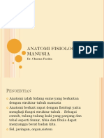 Anatomi Fisiologi Manusia