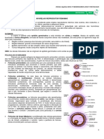 13 - Aparelho Reprodutor Feminino.pdf