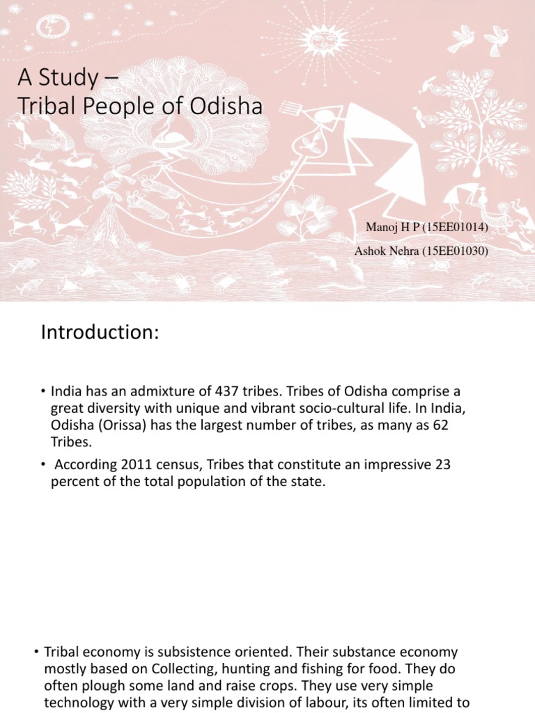 A Study - Tribal People of Odisha | PDF | Tribe | Malnutrition