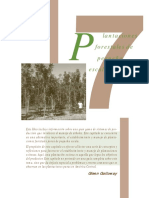 c7 Plantaciones PDF