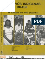 Povos Indígenas no Brasil - volume 8