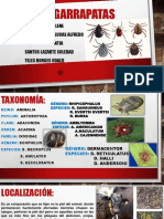 Garrapatas: taxonomía, morfología y enfermedades que transmiten