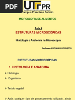 Aula 4 LL - Estruturas Microscópicas