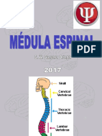 Médula Espinalm2