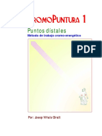 CROMOPUNTURA_LIBRO.pdf