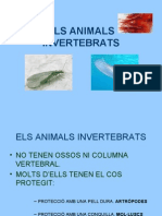 Els Animals Invertebrats