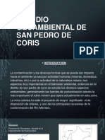 Estudio Geoambiental de San Pedro de Coris