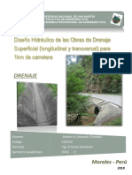 Teoria de Drenaje Guillermo