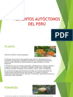 Alimentos Autóctonos Del Perú