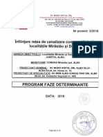 Program Faze Determinante Retele PDF